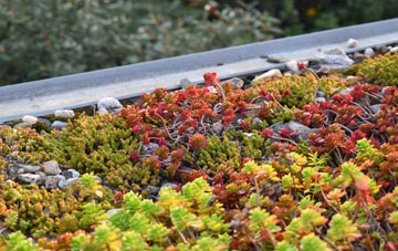 the cost of Otham green roof installation