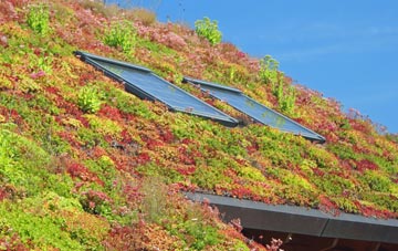 Otham living roof systems